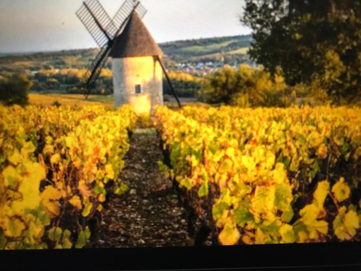 Maison M On The Dordogne Сент-Фуа-ла-Гранд Екстер'єр фото